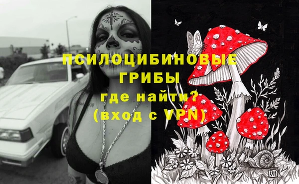 ешки Тобольск