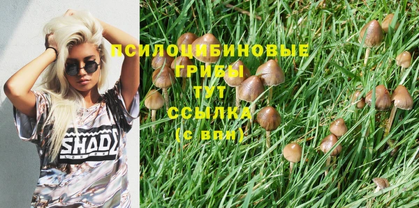 прущий лед Тайга