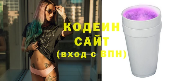 молекула духа Сясьстрой