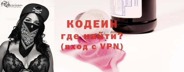 молекула духа Сясьстрой