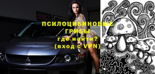 молекула духа Сясьстрой
