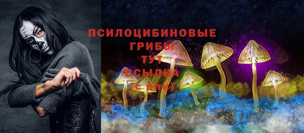 молекула духа Сясьстрой