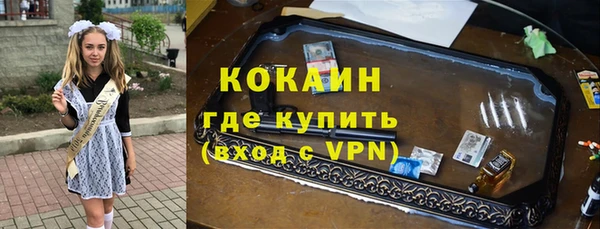 молекула духа Сясьстрой