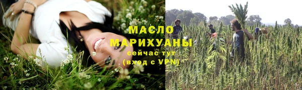 молекула духа Сясьстрой