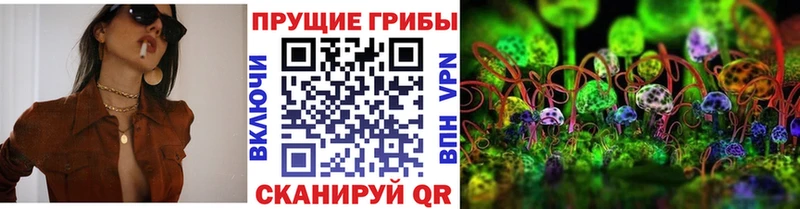 наркошоп  Хилок  Псилоцибиновые грибы ЛСД 