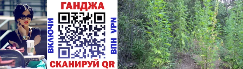 shop наркотические препараты  Хилок  OMG   Конопля план  наркотики 